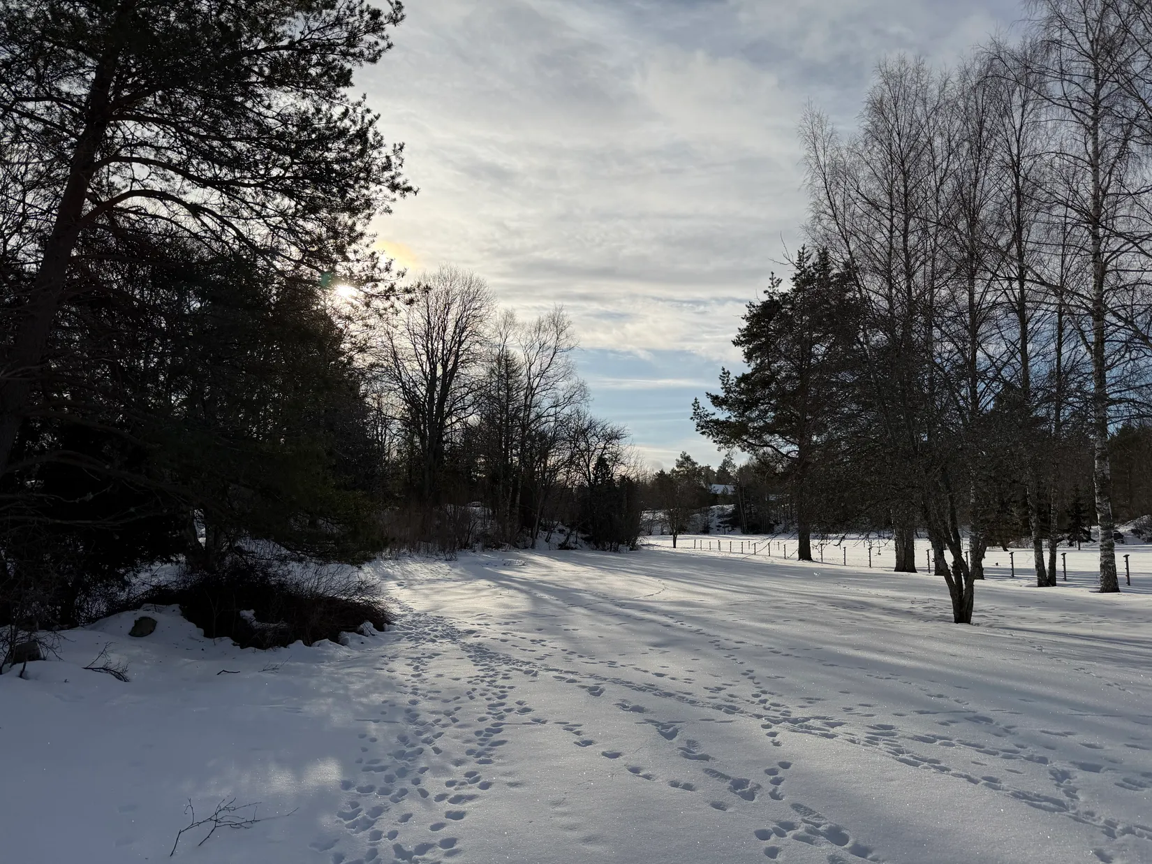 Tomt, Björkkullavägen 9B, Väddöviken, Norrtälje