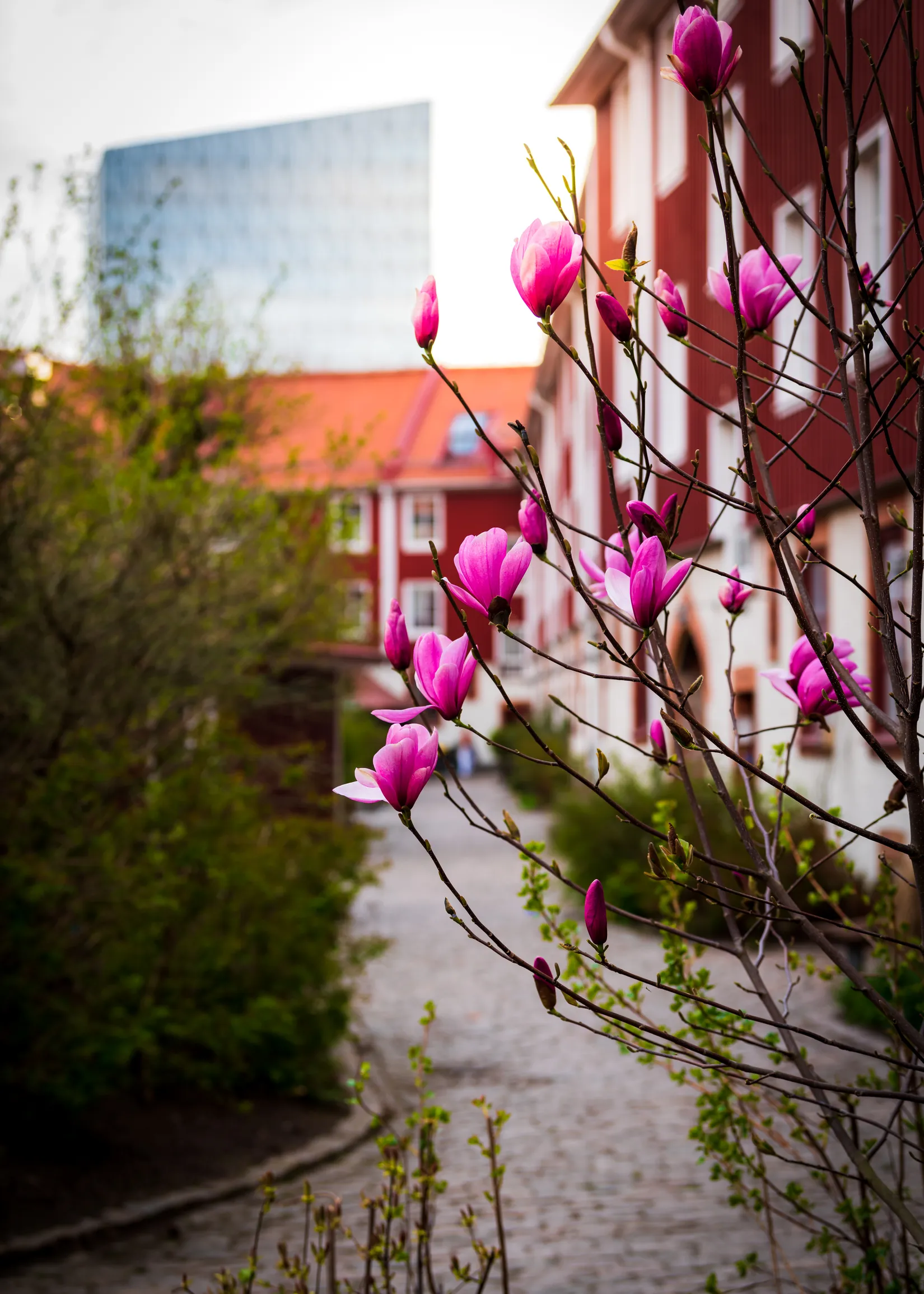Bostadsrätt, Gamlestadstorget 32, Gamlestaden, Göteborg