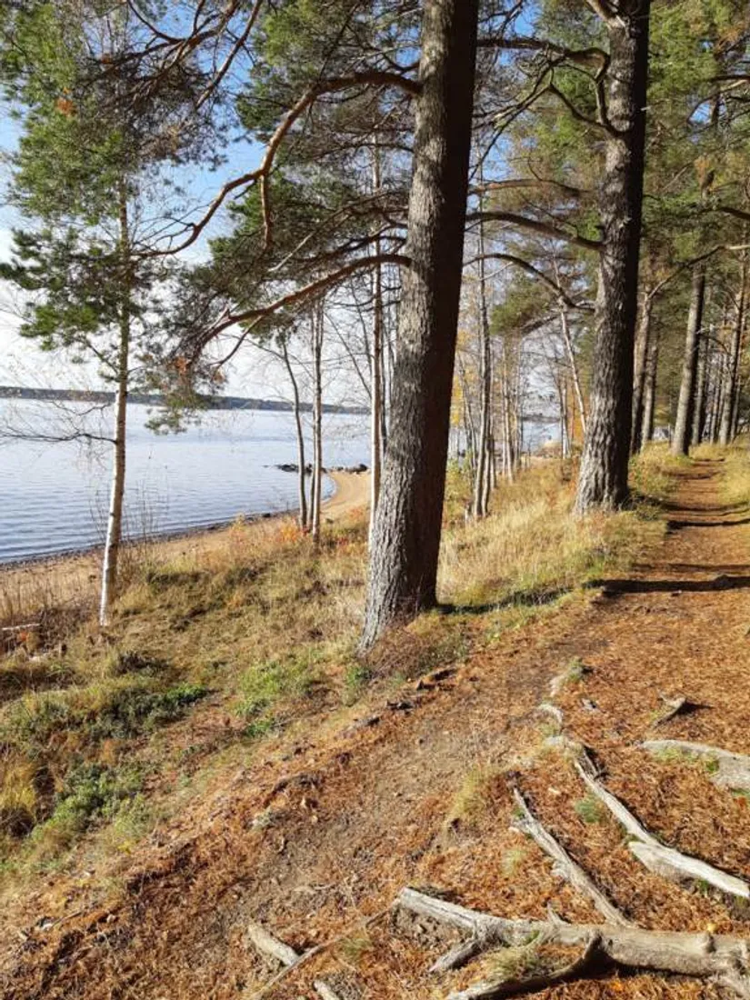 Bostadsrätt, Laxgatan 8B, Svartöstaden, Luleå