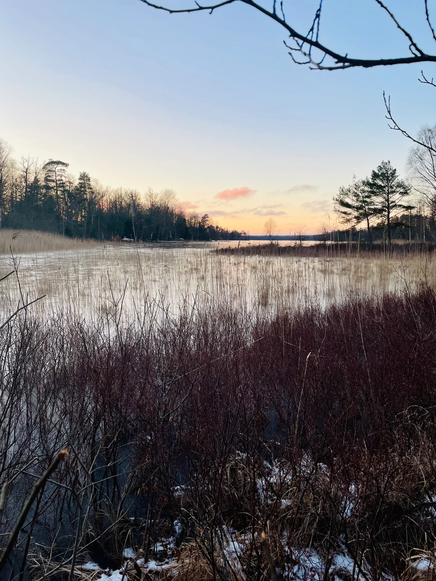 Tomt, Öjarp Lunda 10, Ljungby