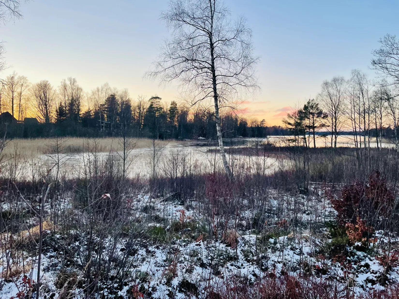 Tomt, Öjarp Lunda 10, Ljungby