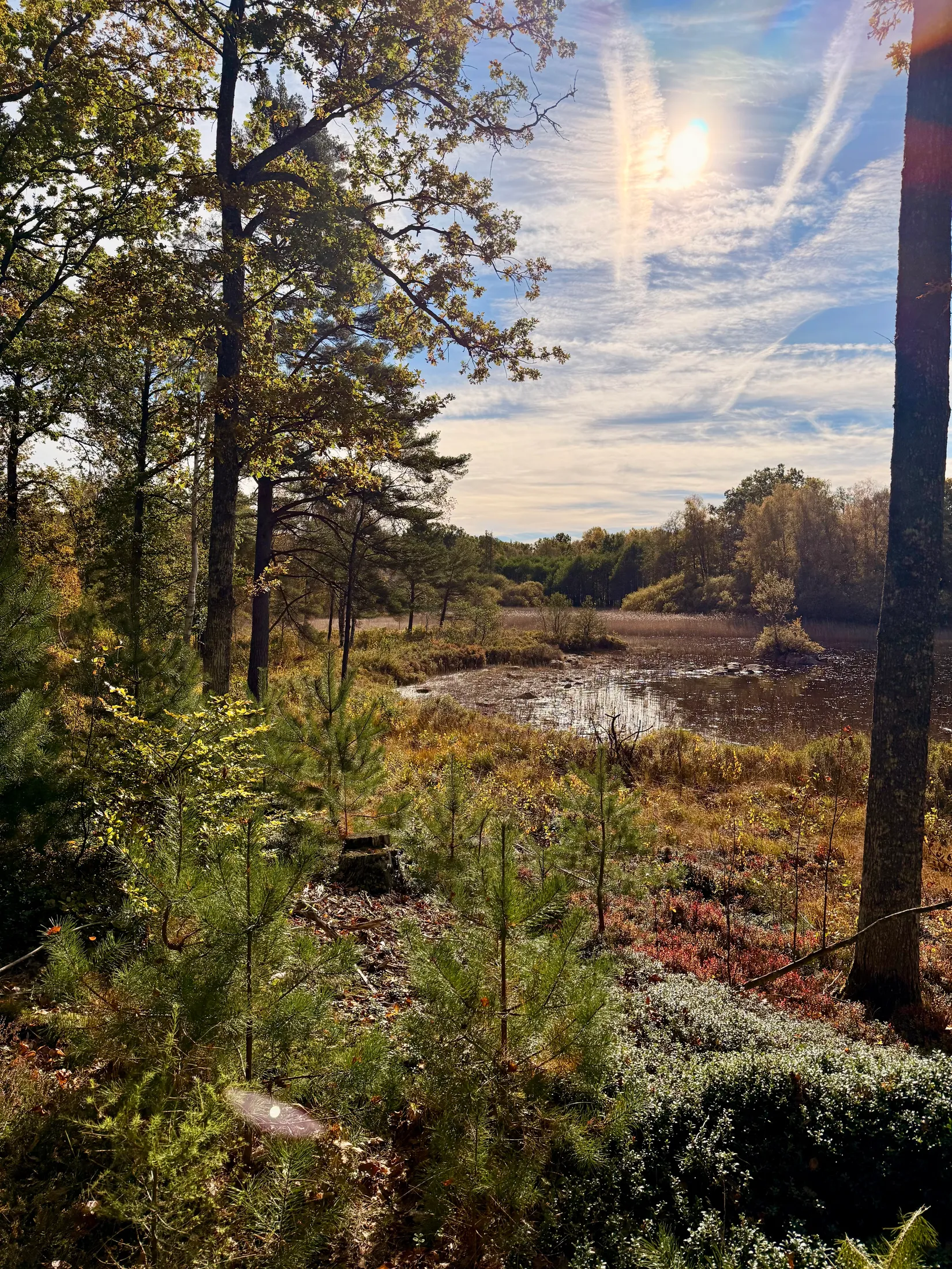 Tomt, Öjarp Lunda 10, Ljungby