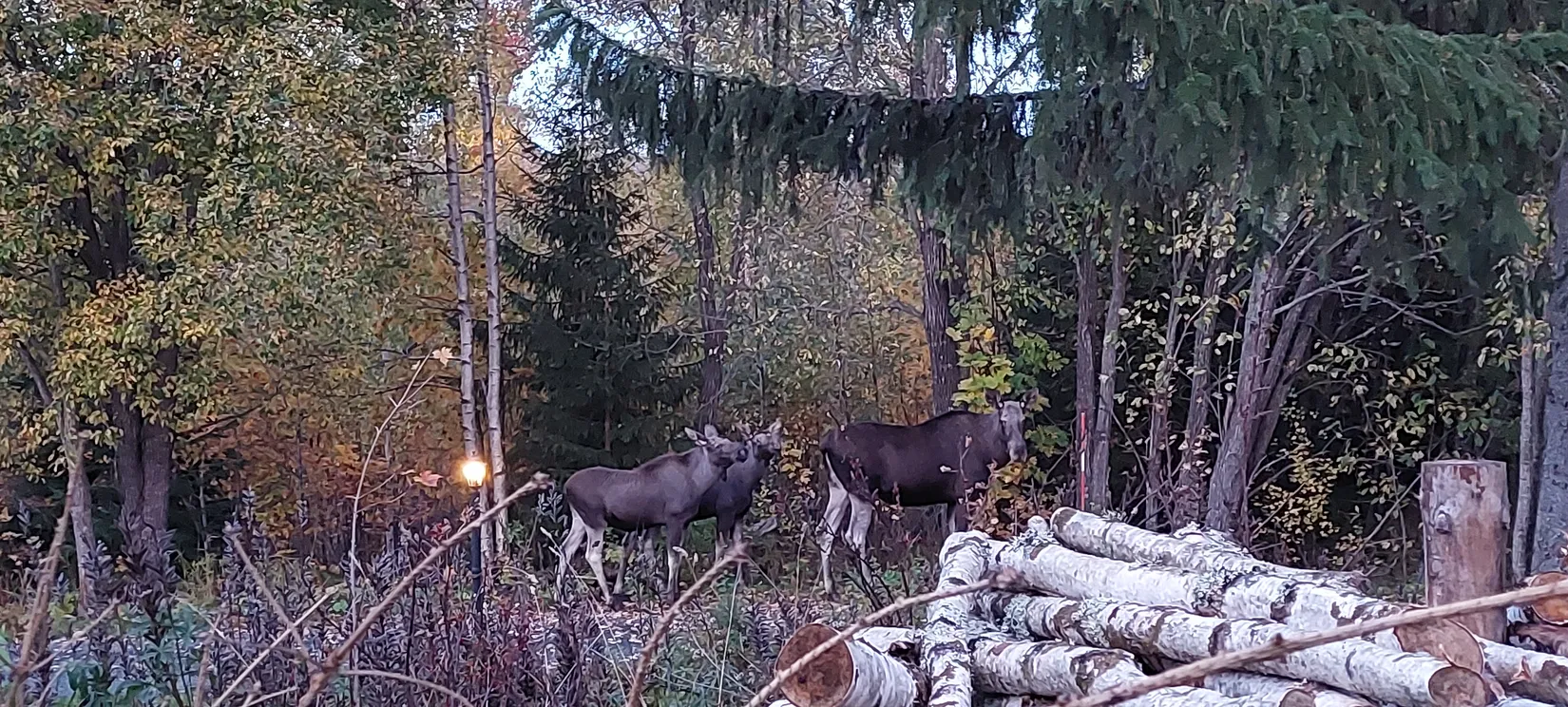 Villa, Gruvbyvägen 2, Los, Ljusdal