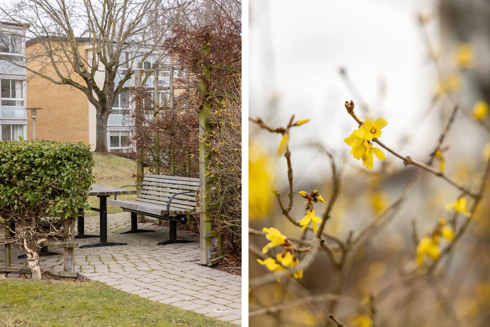 Bostadsrätt, Albinsrogatan 1C, Borgmästaregården, Malmö