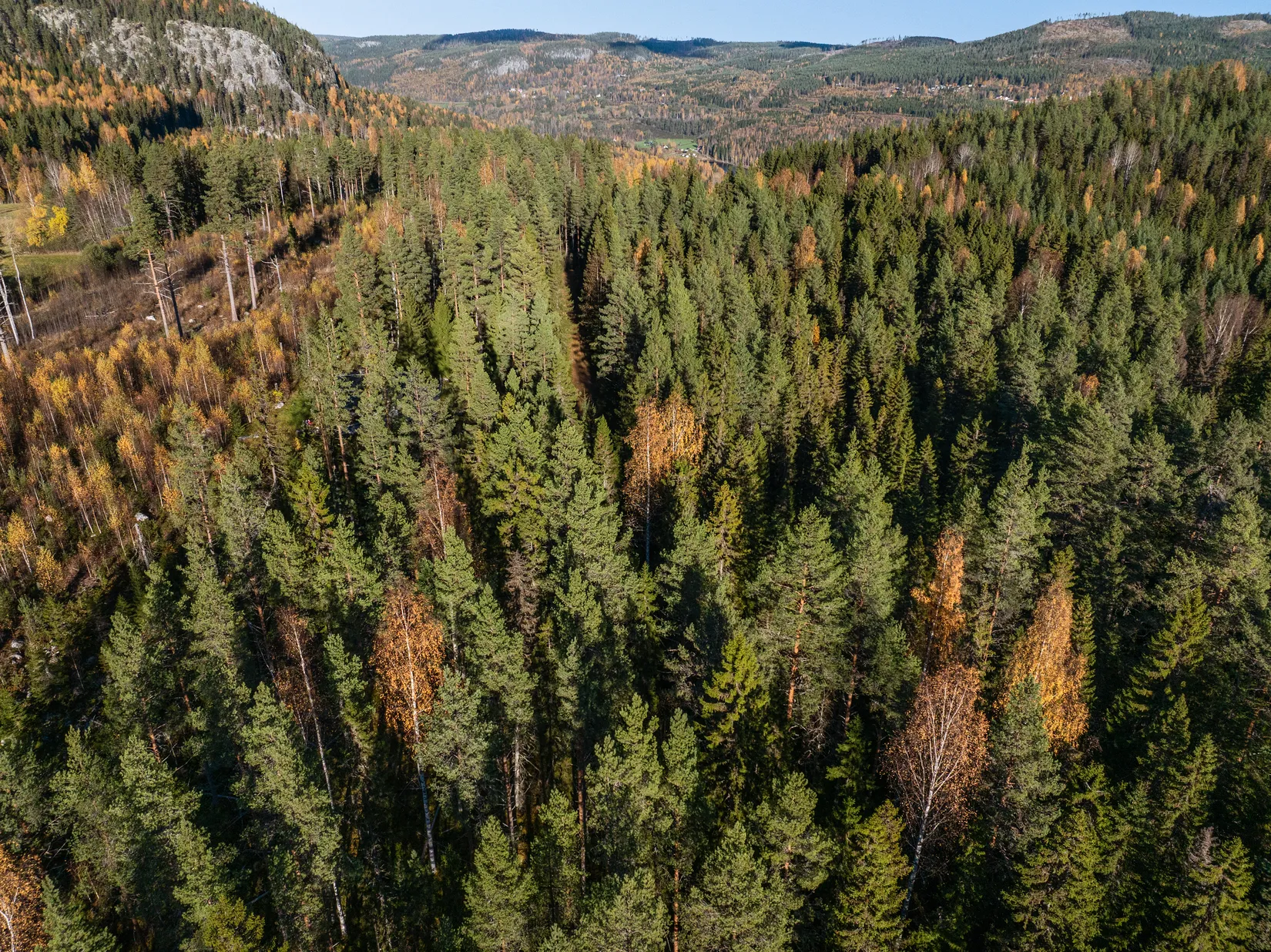 Gård/Skog, Åsen 121, Sundsvall