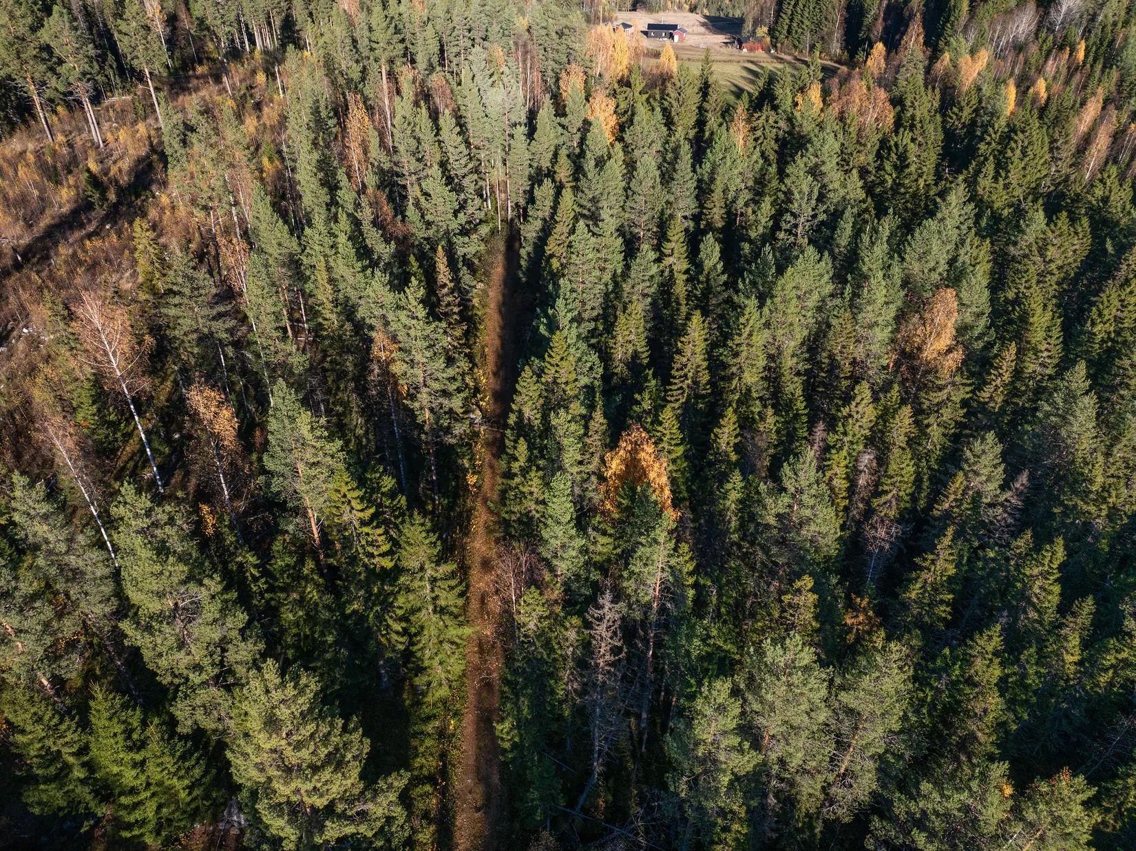 Gård/Skog, Åsen 121, Sundsvall