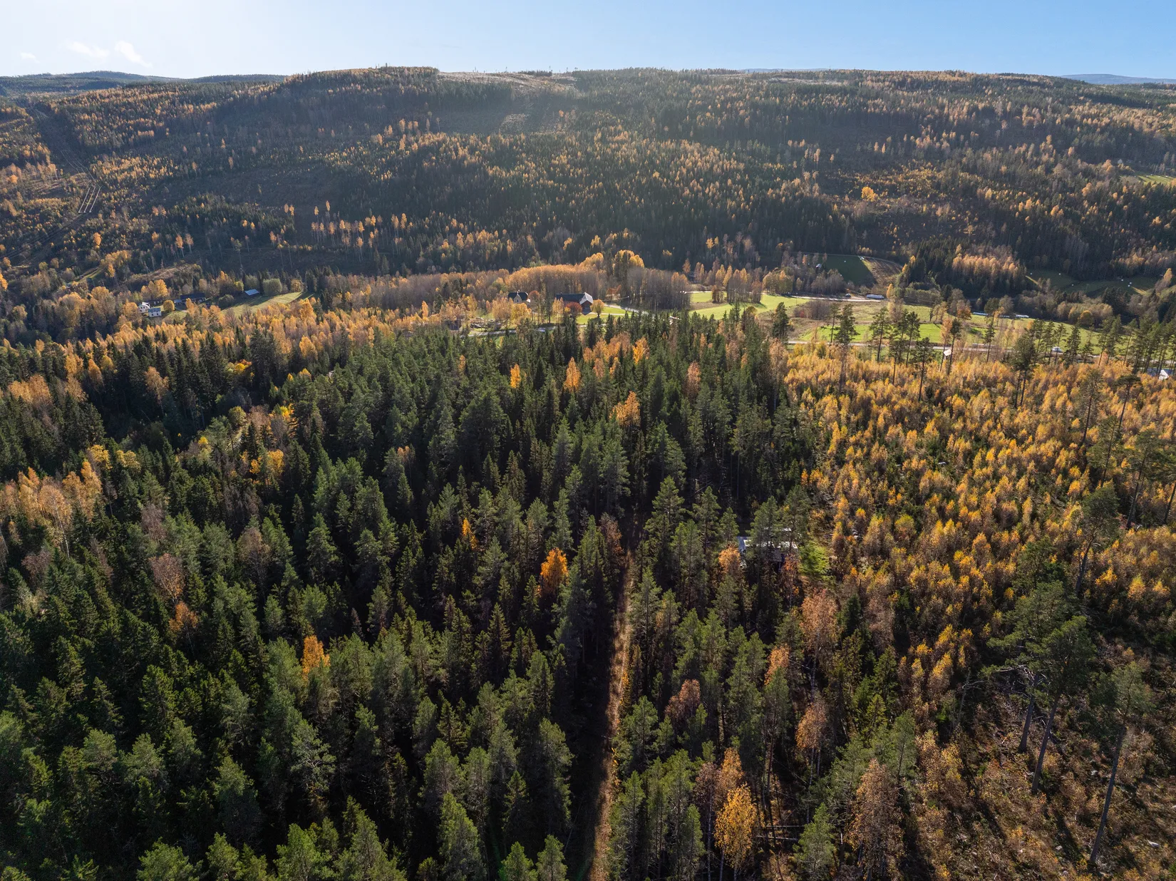 Gård/Skog, Åsen 121, Sundsvall