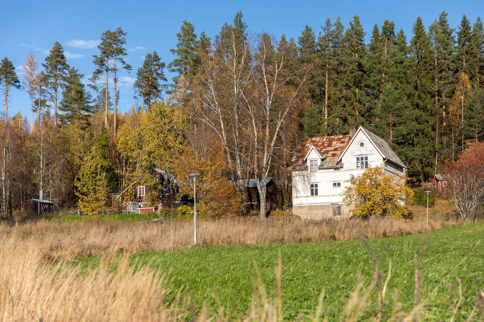 Gård/Skog, Åsen 121, Sundsvall