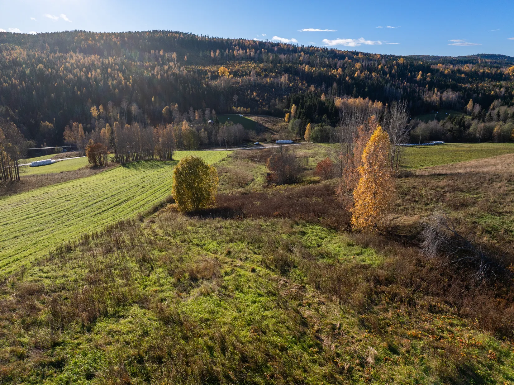 Gård/Skog, Åsen 121, Sundsvall