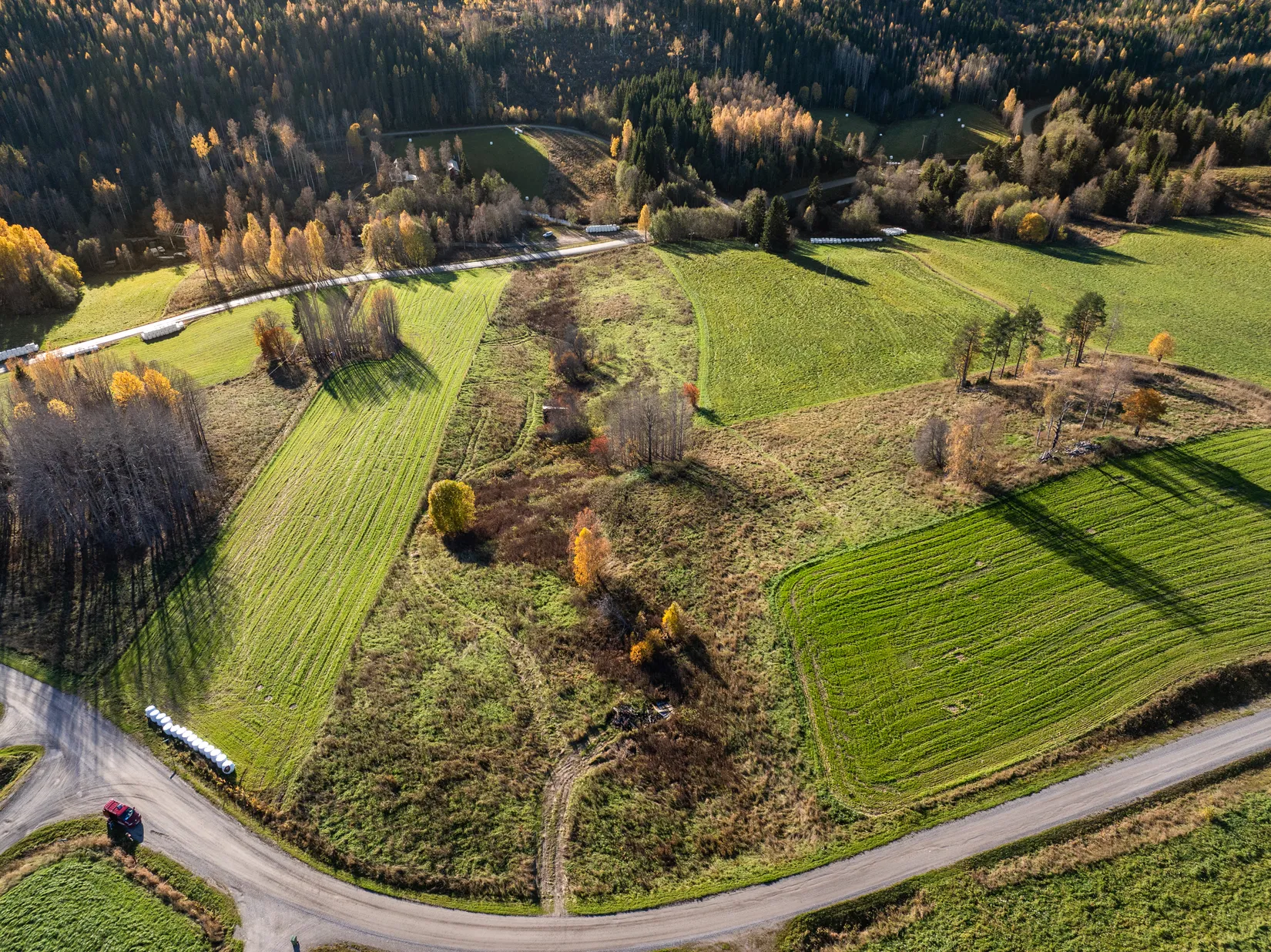 Gård/Skog, Åsen 121, Sundsvall