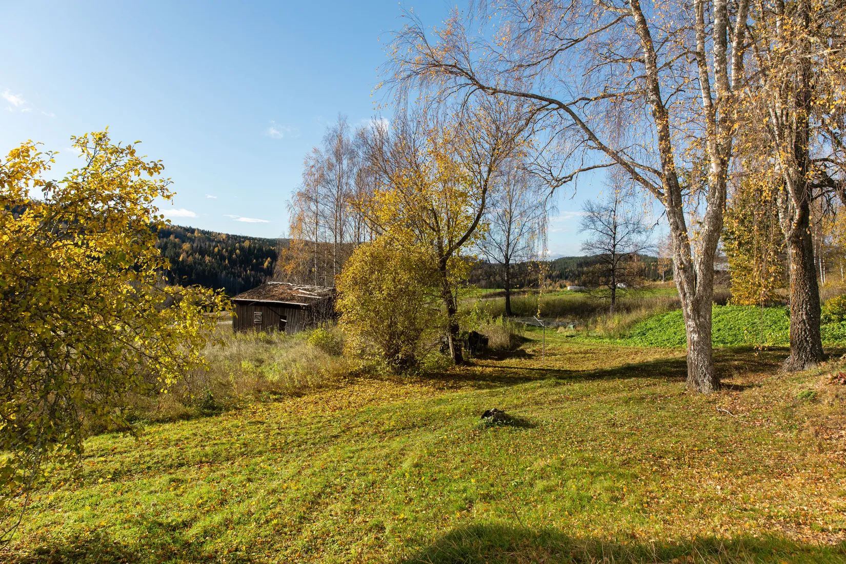 Gård/Skog, Åsen 121, Sundsvall