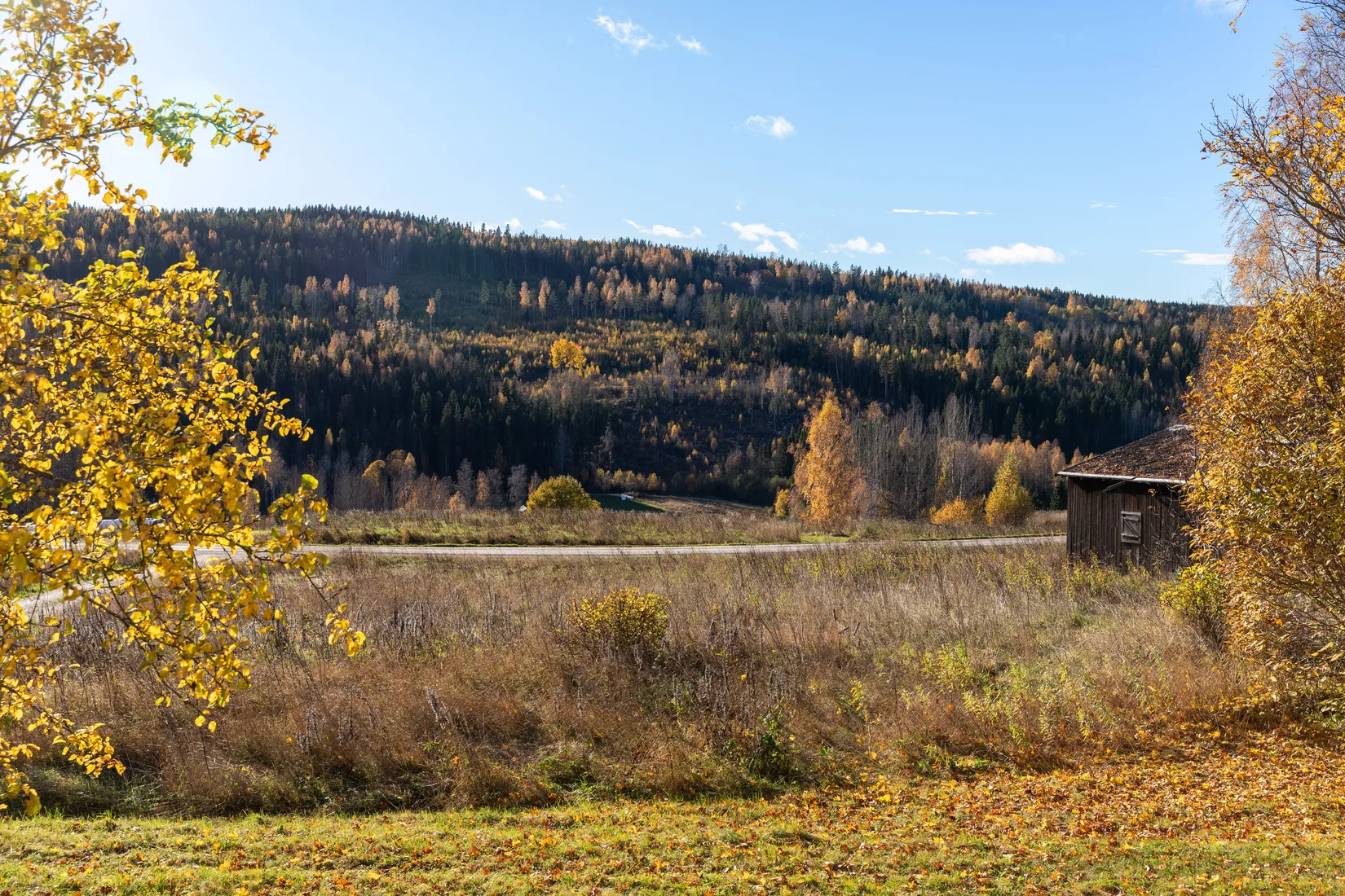 Gård/Skog, Åsen 121, Sundsvall