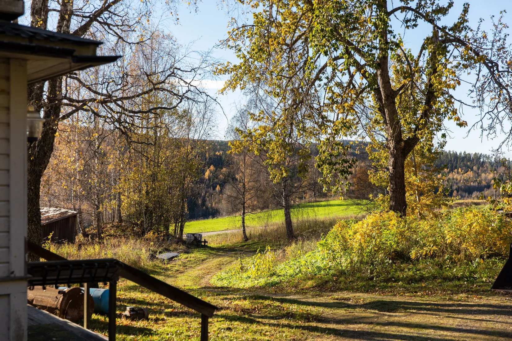 Gård/Skog, Åsen 121, Sundsvall