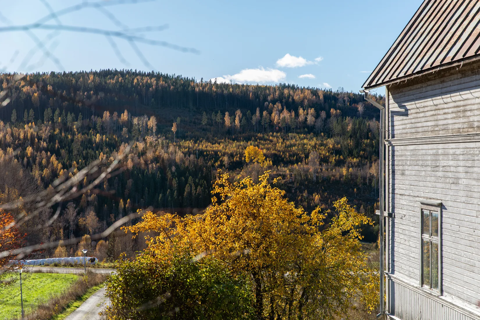 Gård/Skog, Åsen 121, Sundsvall