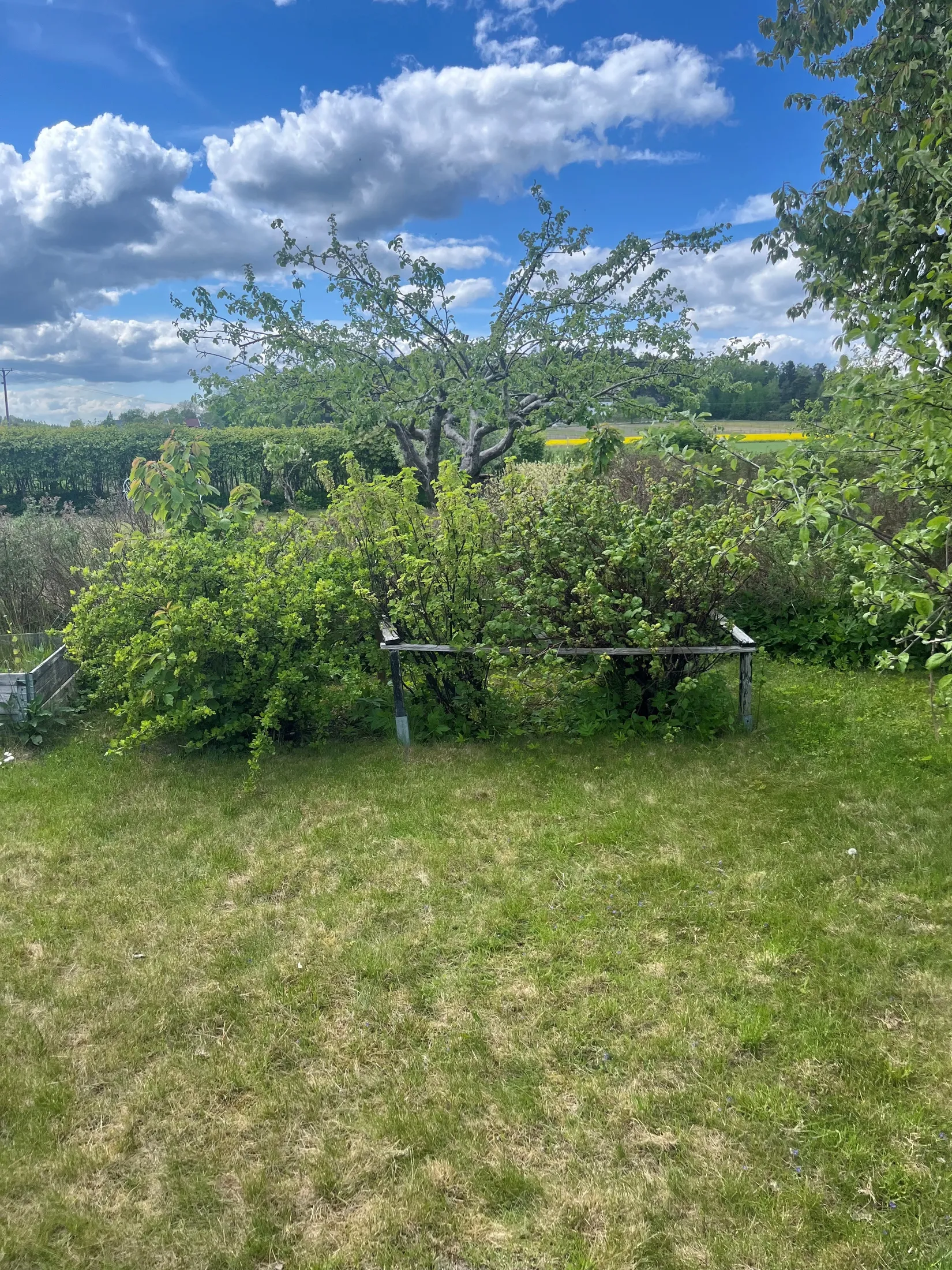 Fritidshus, Strandgräsvägen 18, Nibbla, Ekerö