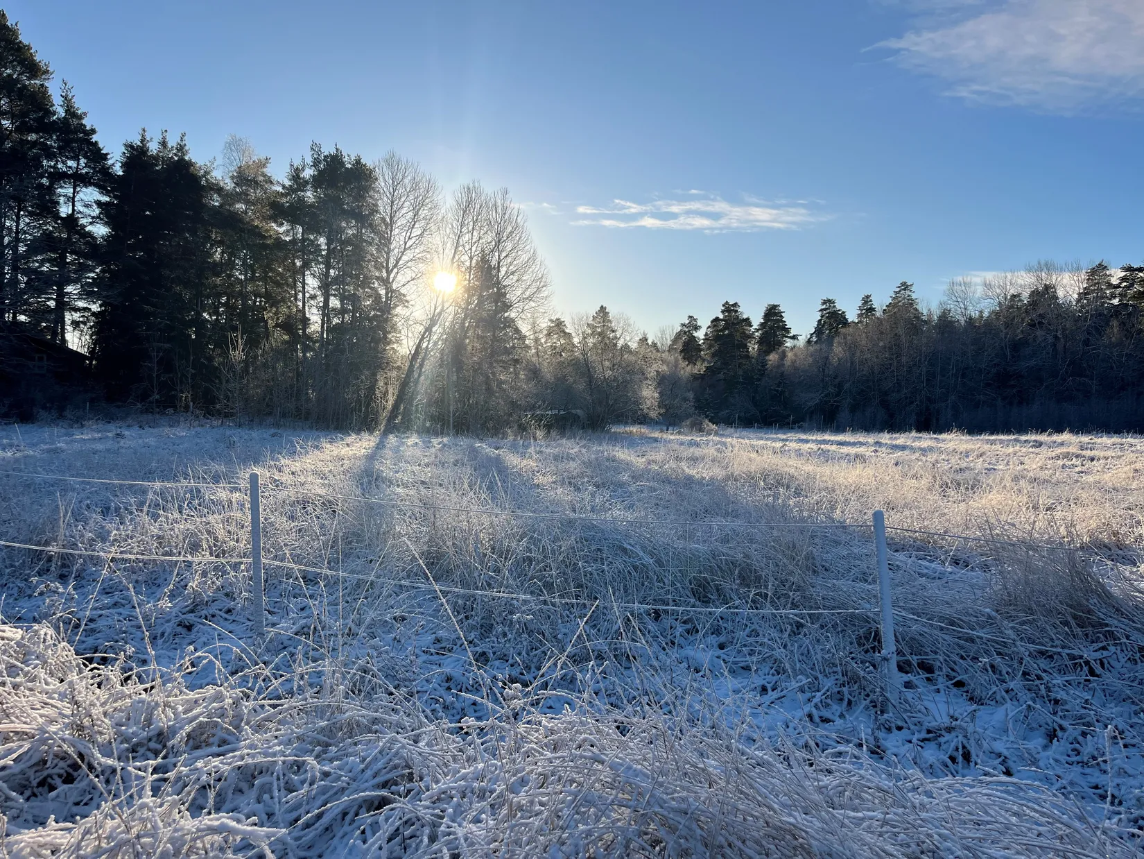 Tomt, Degerby 5:5, Ekerö