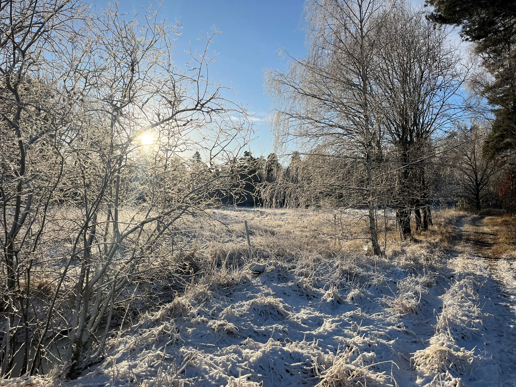 Tomt, Degerby 5:5, Ekerö