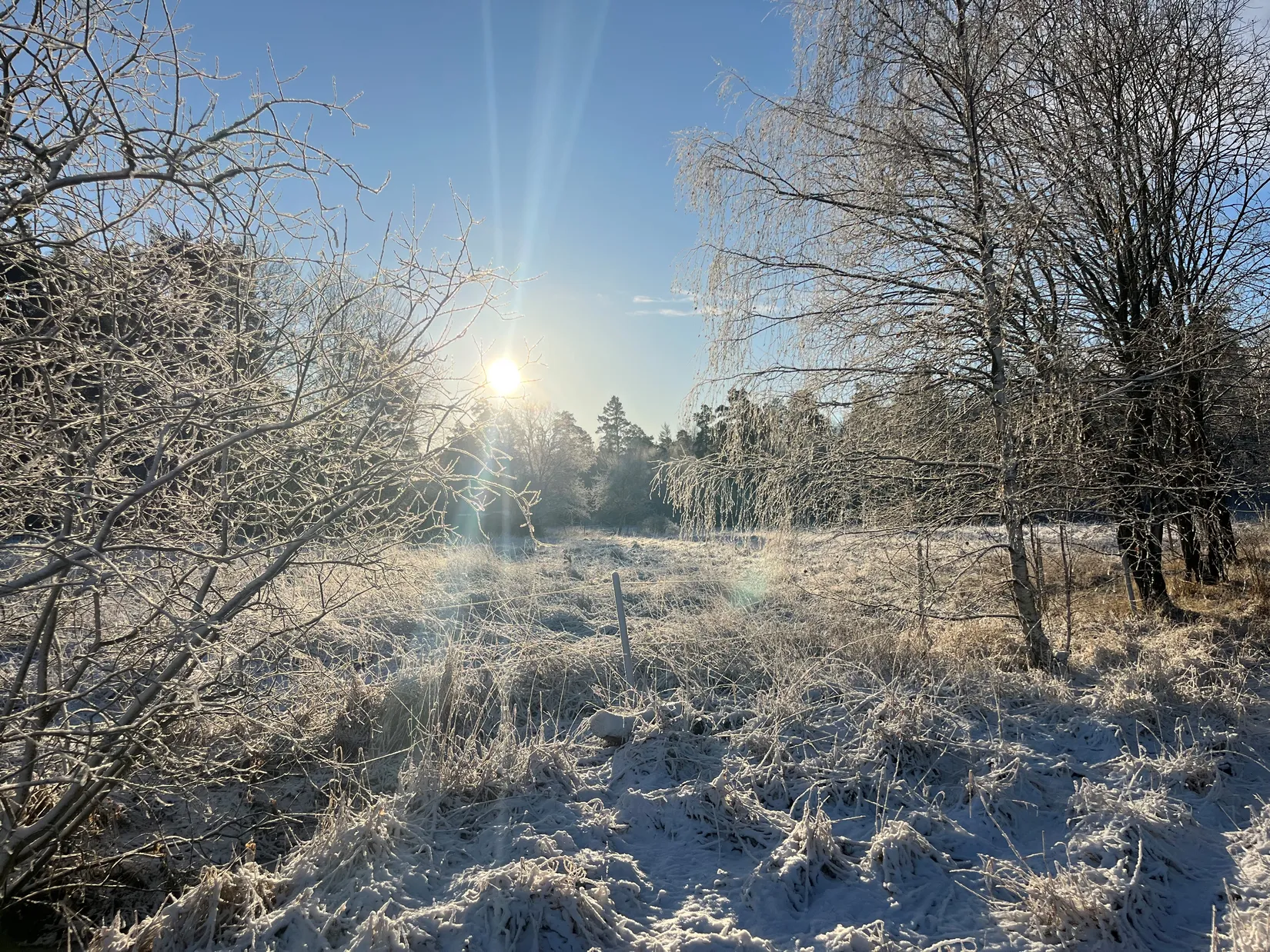 Tomt, Degerby 5:5, Ekerö