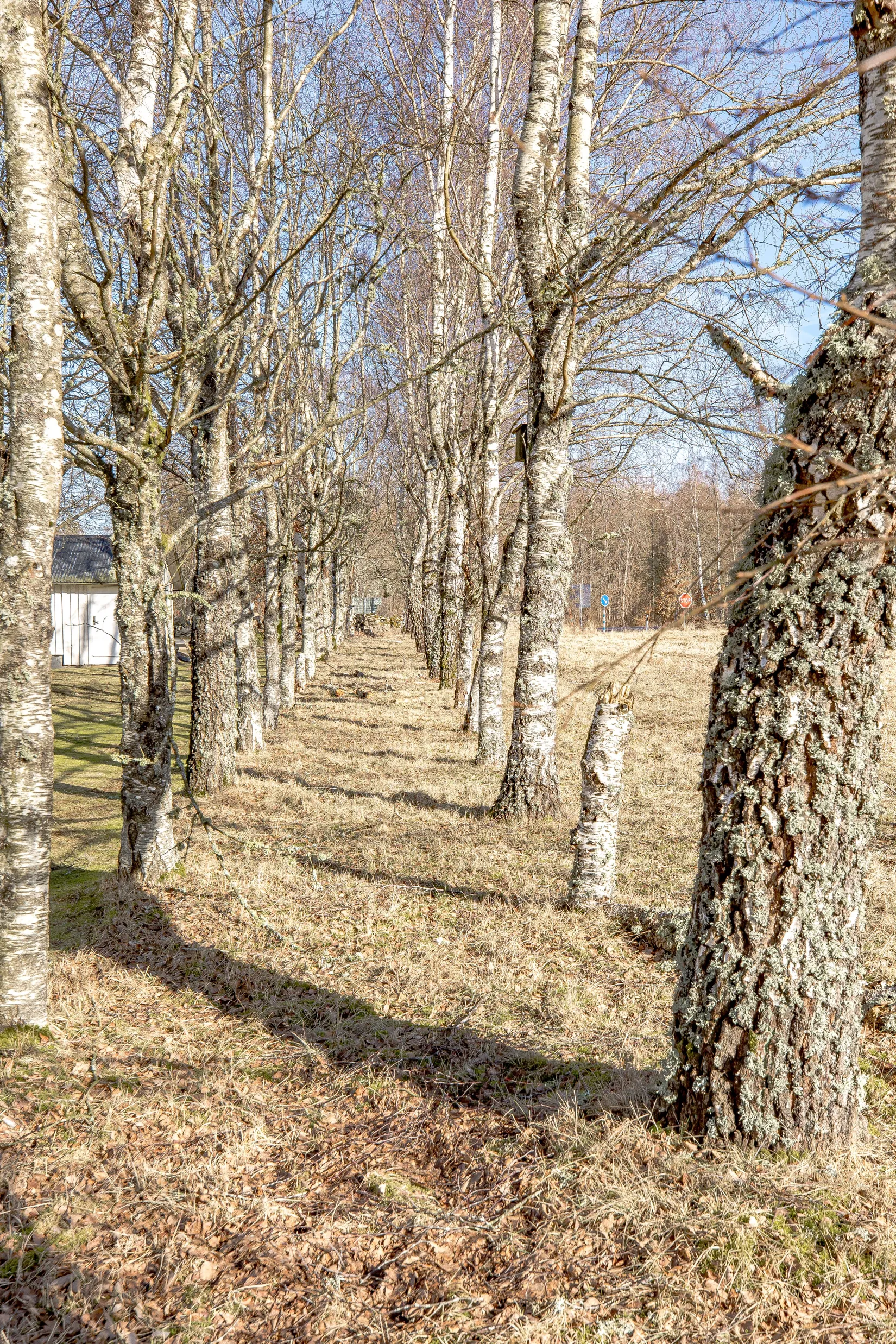 Villa, Abild Borghem 101, Abild, Falkenberg