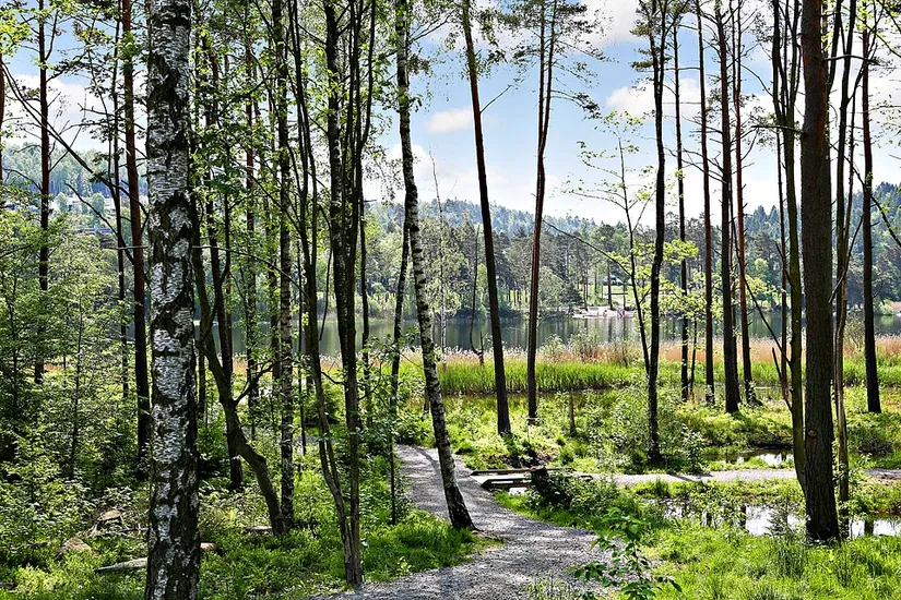 Villa, Radhus, Färgerivägen 16, Mölnlycke-Nysäter, Härryda