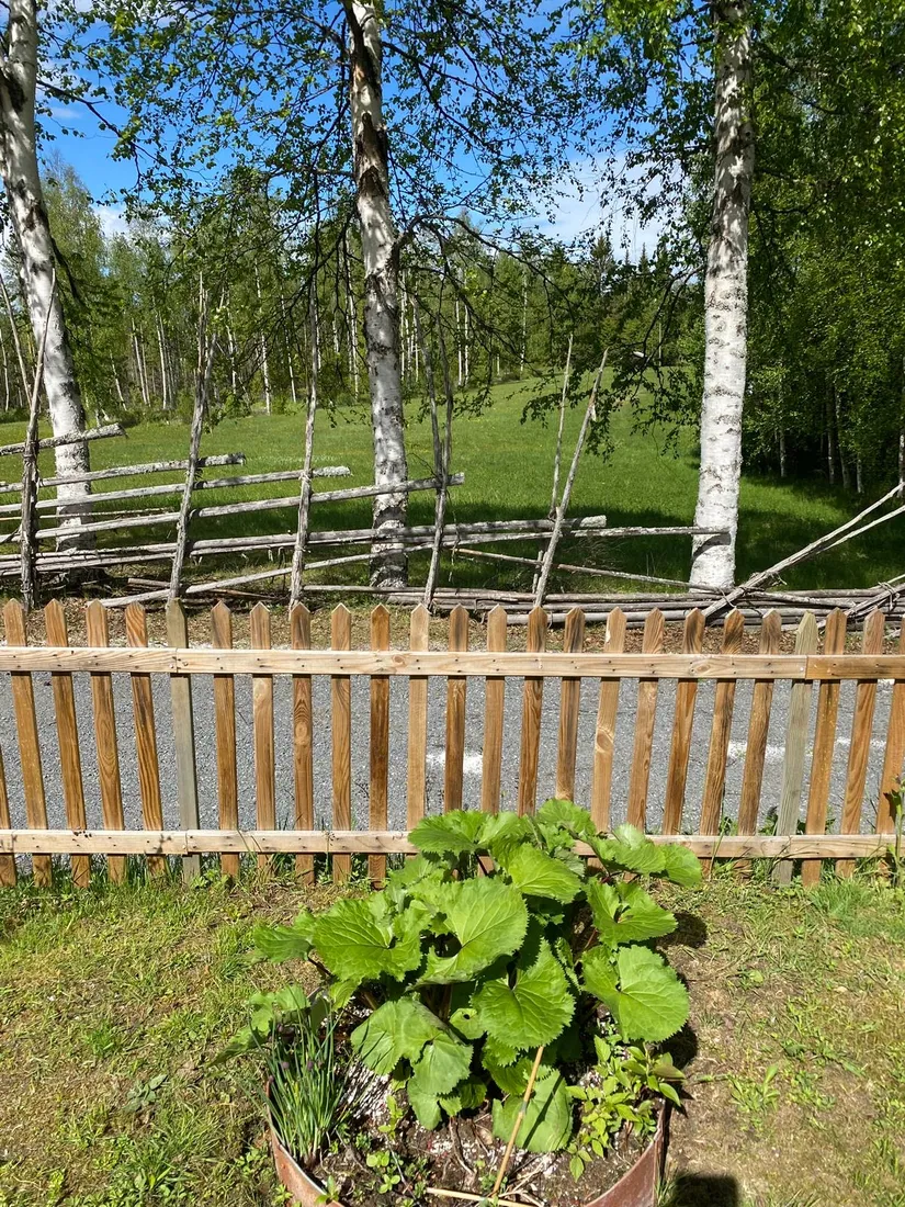 Villa, Rotnäset 306, Rotnäset, Ånge