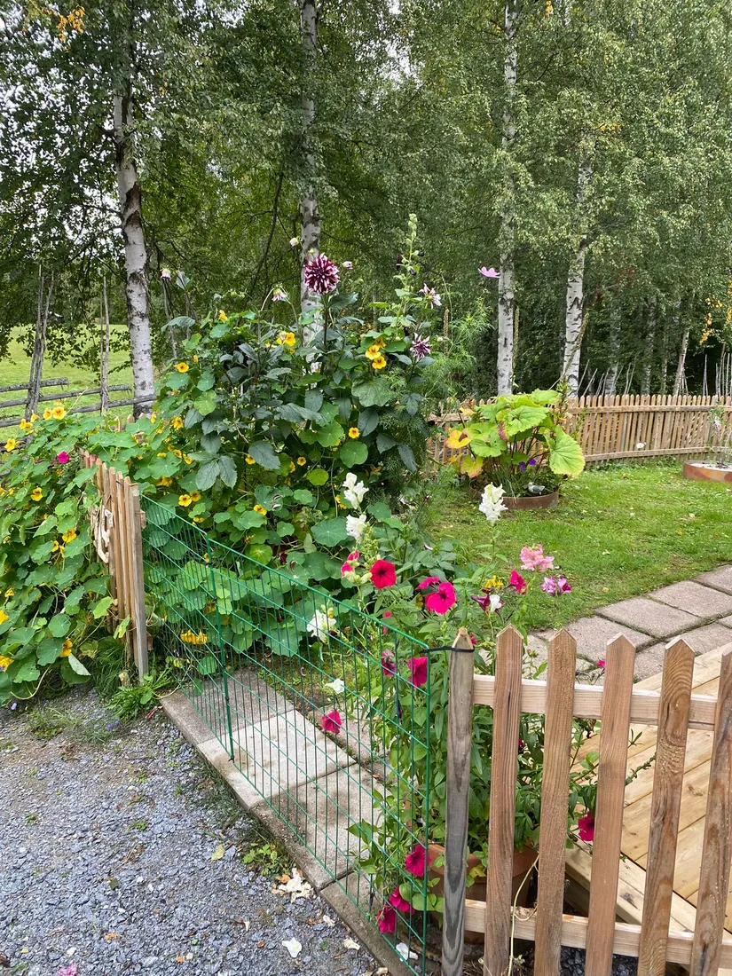 Villa, Rotnäset 306, Rotnäset, Ånge