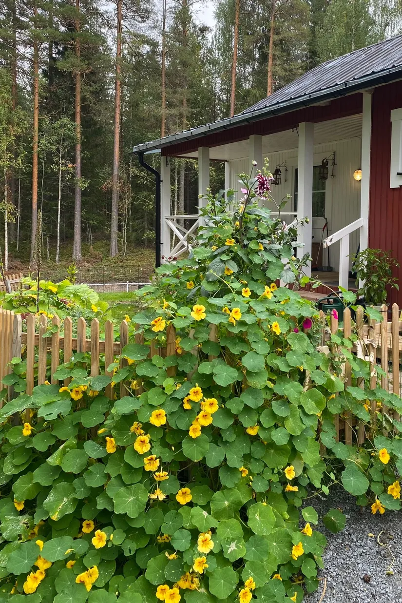 Villa, Rotnäset 306, Rotnäset, Ånge