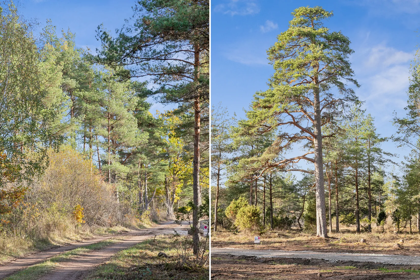 Tomt, Hejdeby Norrbys 145C, Mellersta Gotland, Gotland