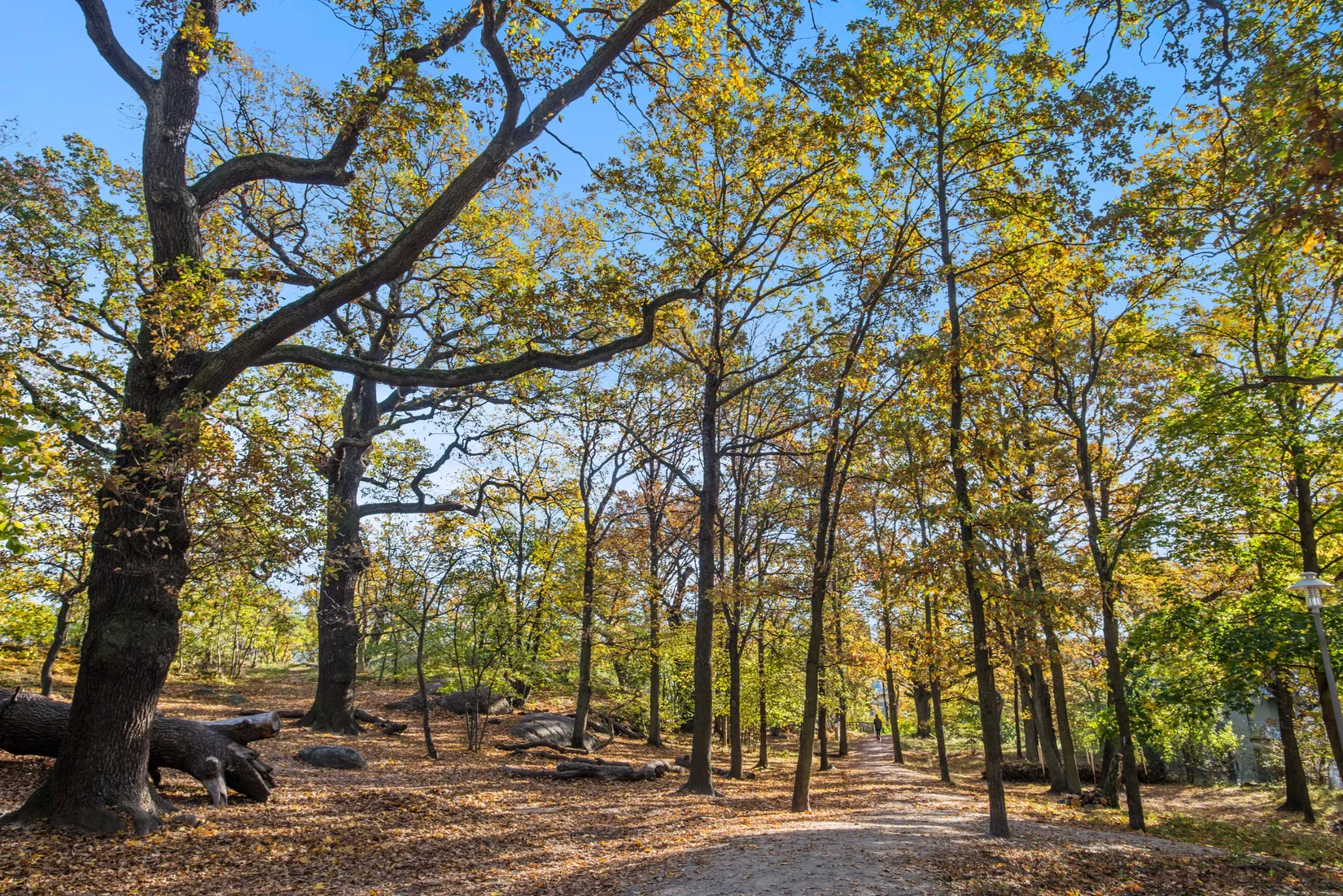Bostadsrätt, Sickla kanalgata 49, Hammarby Sjöstad, Stockholm