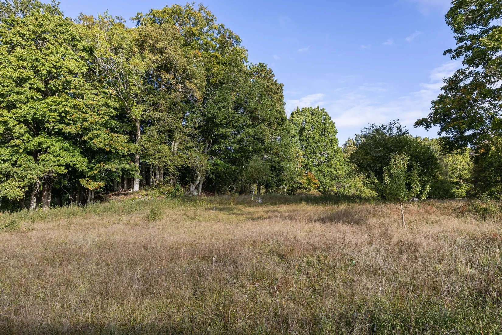 Gård/Skog, Parismåla 111, Emmaboda