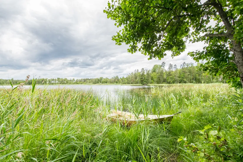 Gård/Skog, Görvälstorpsvägen 6, Görvälstorp, Norrtälje