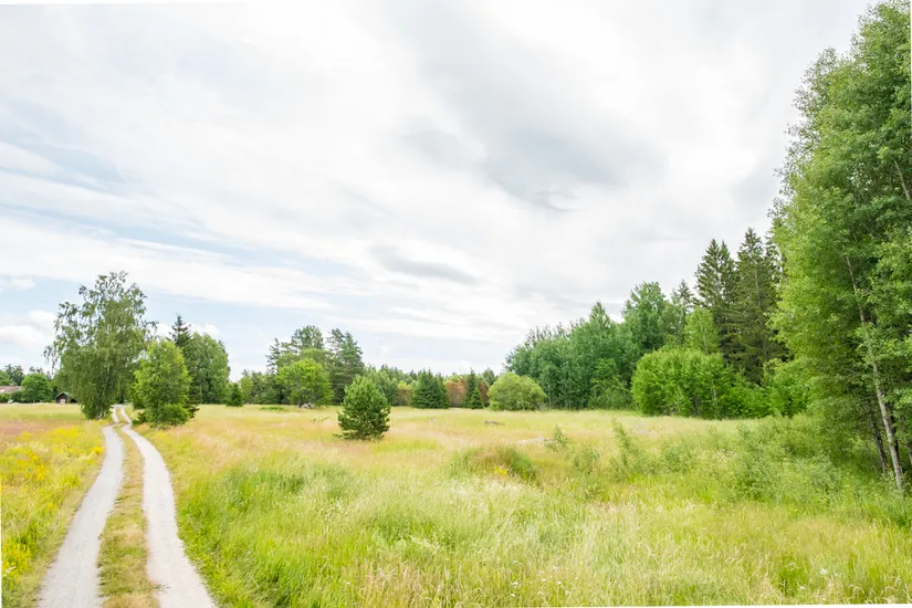 Gård/Skog, Görvälstorpsvägen 6, Görvälstorp, Norrtälje