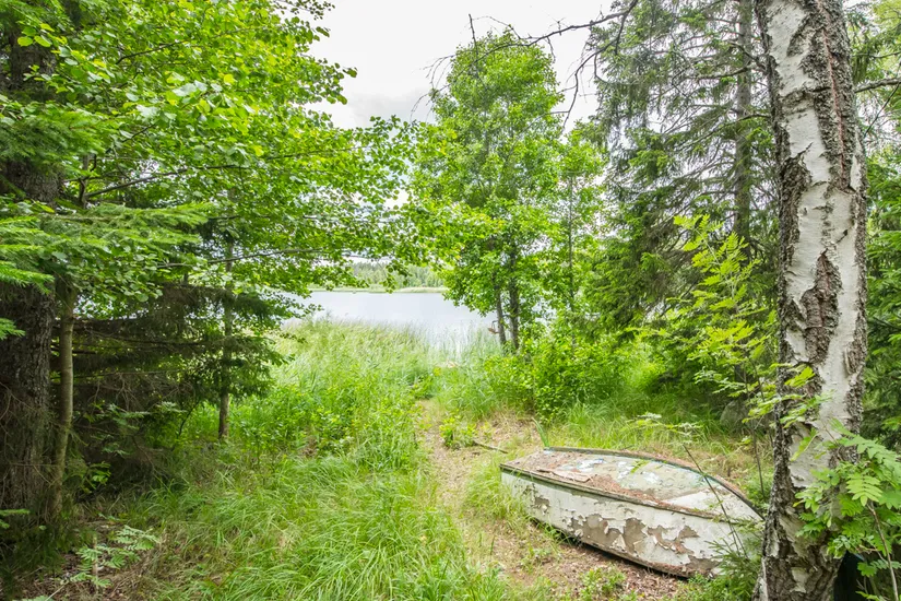 Gård/Skog, Görvälstorpsvägen 6, Görvälstorp, Norrtälje