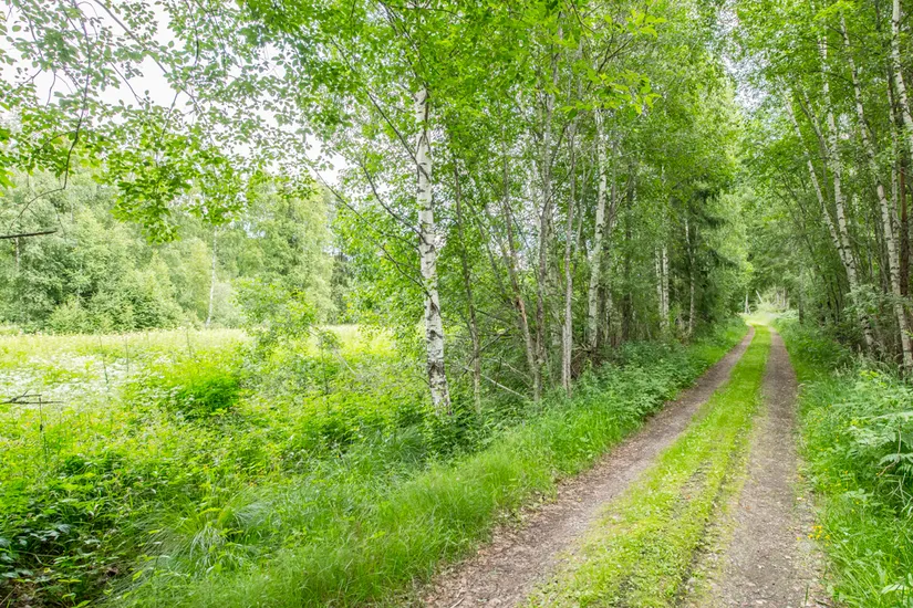 Gård/Skog, Görvälstorpsvägen 6, Görvälstorp, Norrtälje