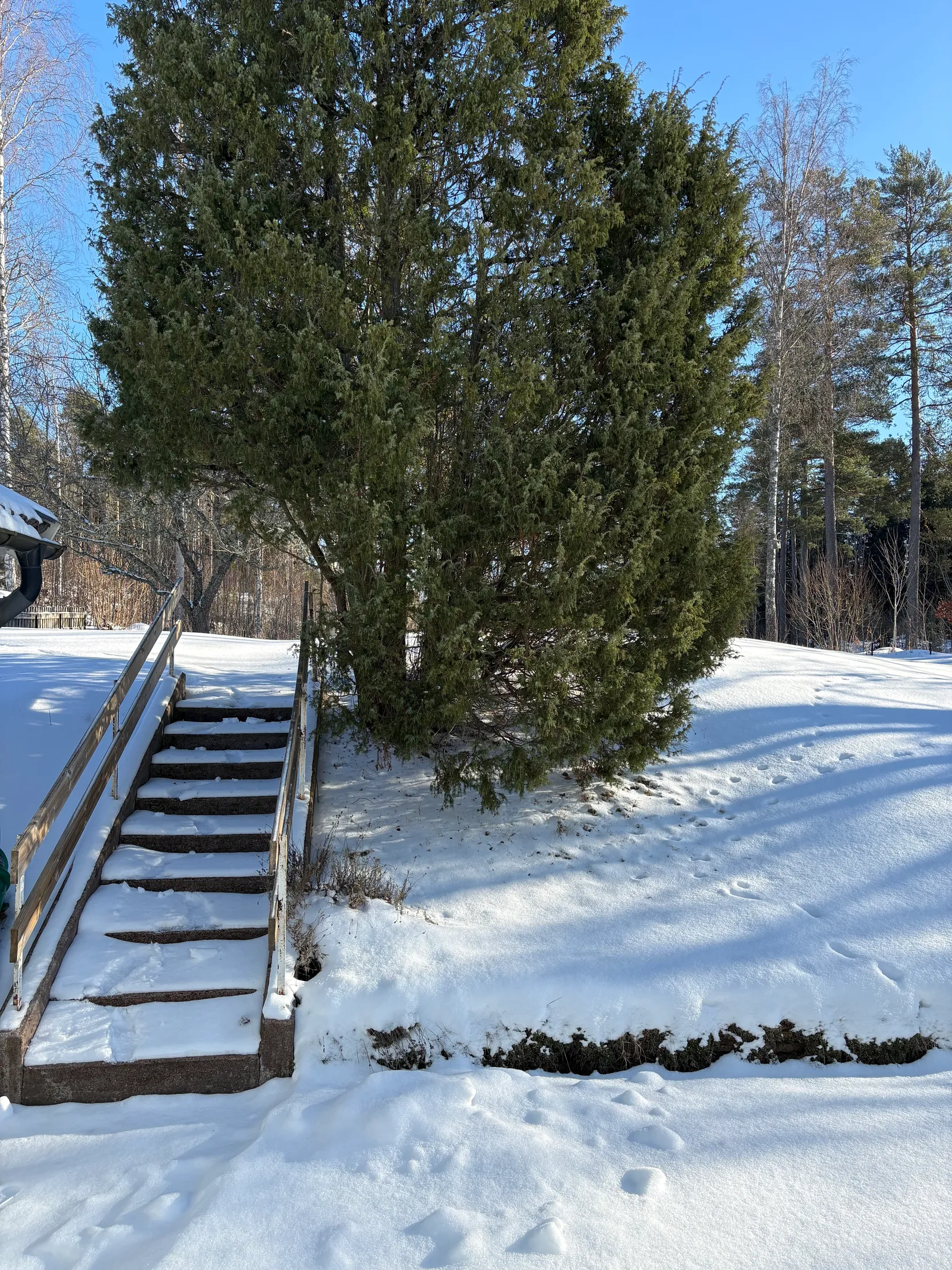 Villa, Frickens väg 18, Eksjö