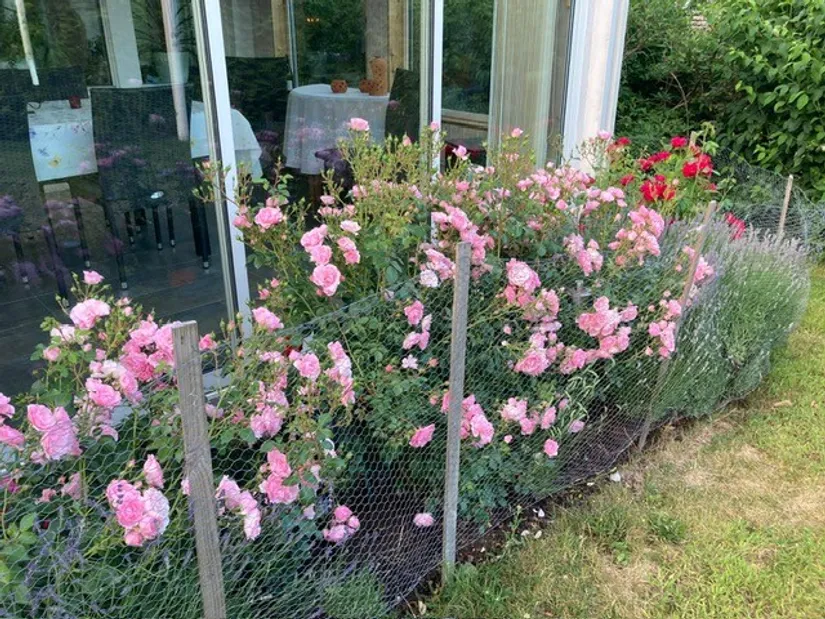 Villa, MUSKÖTVÄGEN 15A, Margretelund, Österåker