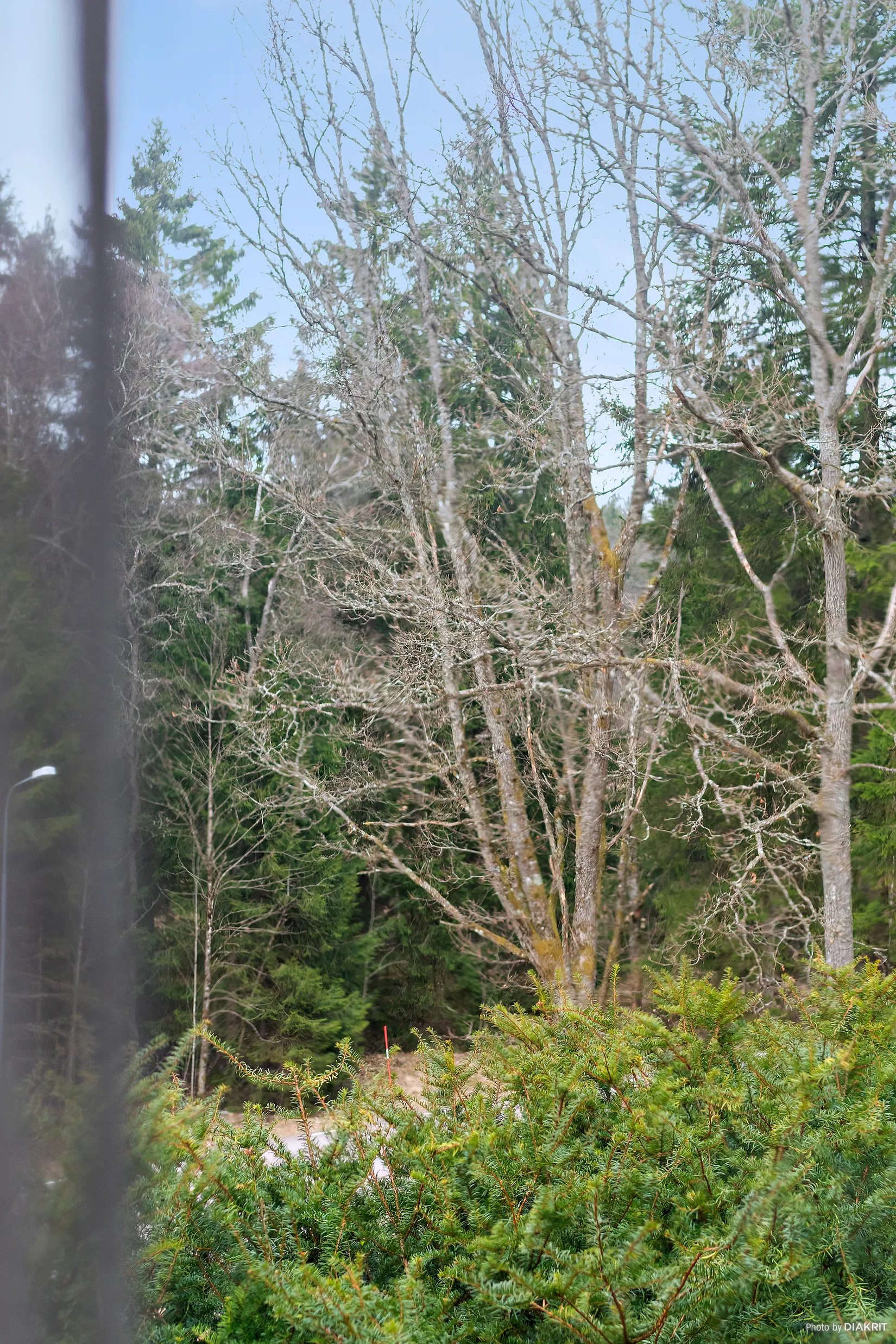 Villa, Applagården 12, Sandared, Borås