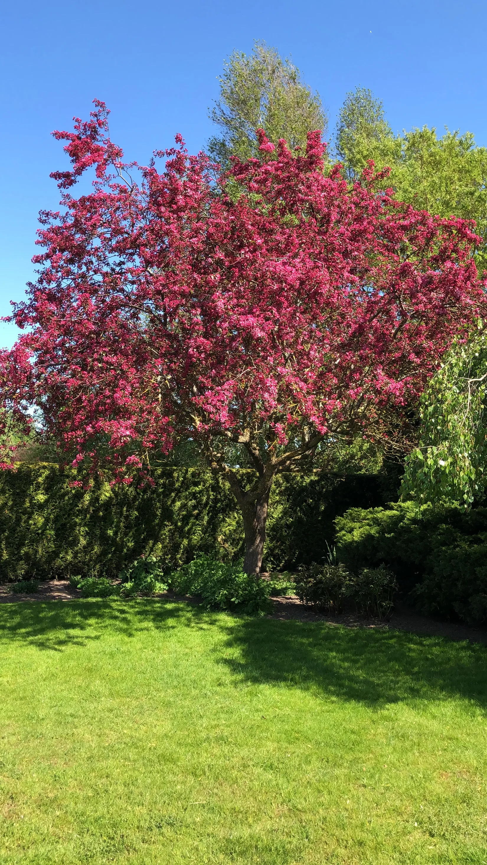 Villa, Stallgatan 16, Vellinge