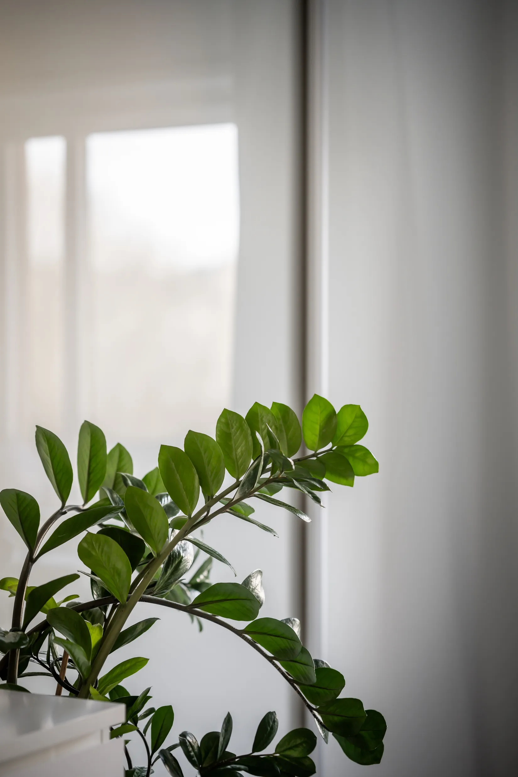 Bostadsrätt, Björkhemsgatan 73, Sjöbo, Borås