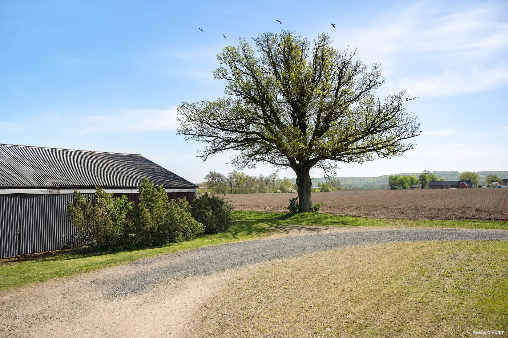 Gård/Skog, Stackarp 2349, Klippan