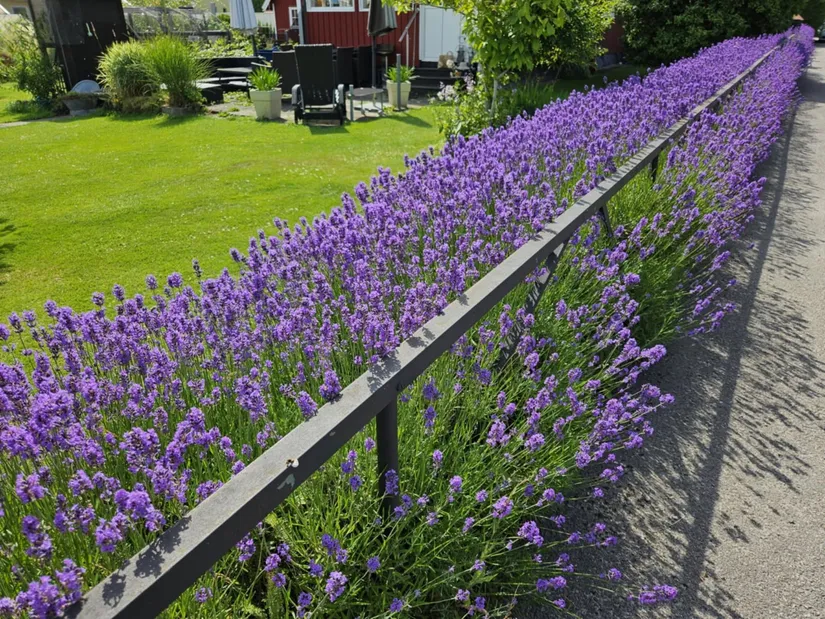 Villa, Lugngatan 4, Björkelund, Motala