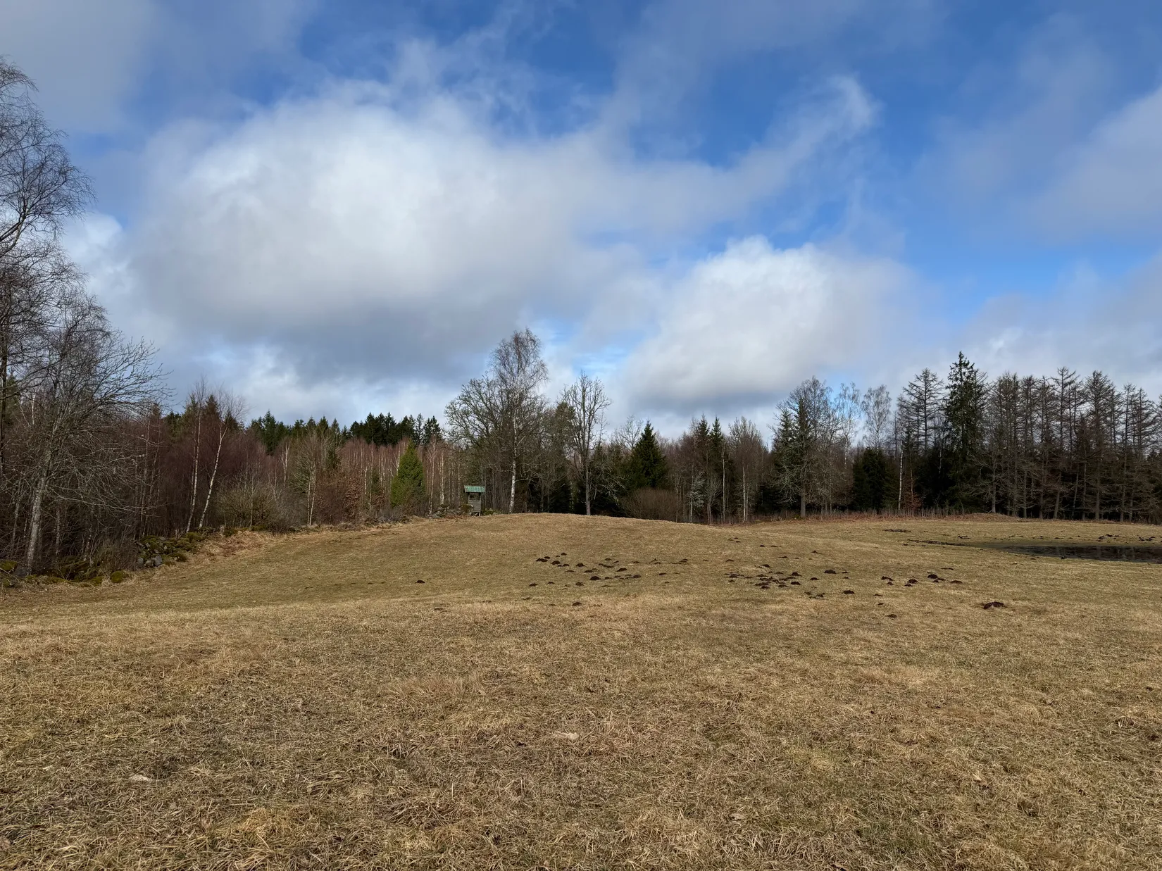 Gård/Skog, Stora Bjälkabygget 1358, Örkelljunga
