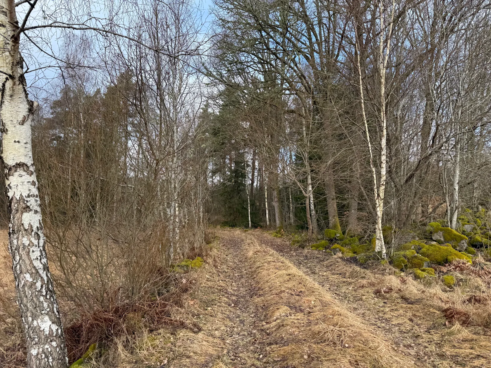 Gård/Skog, Stora Bjälkabygget 1358, Örkelljunga