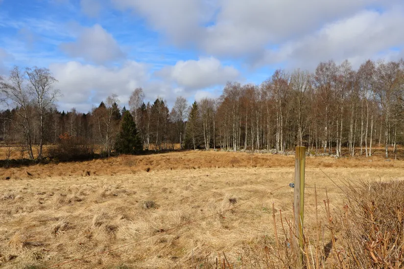 Gård/Skog, Stora Bjälkabygget 1358, Örkelljunga