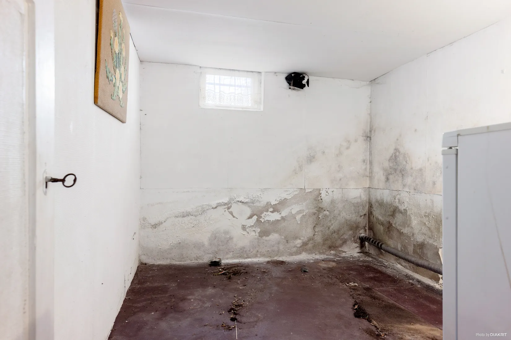 Gård/Skog, Stora Bjälkabygget 1358, Örkelljunga