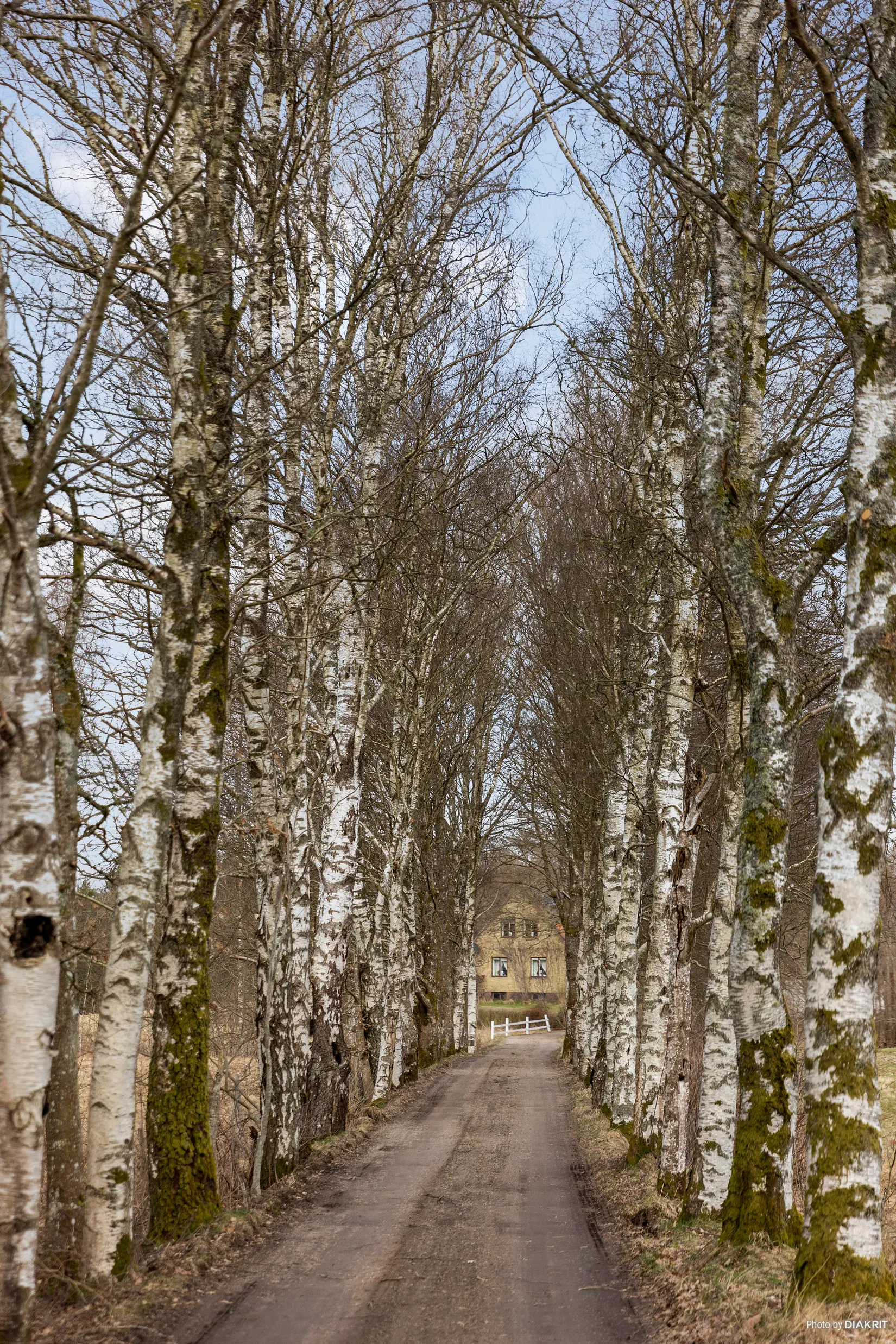 Gård/Skog, Stora Bjälkabygget 1358, Örkelljunga