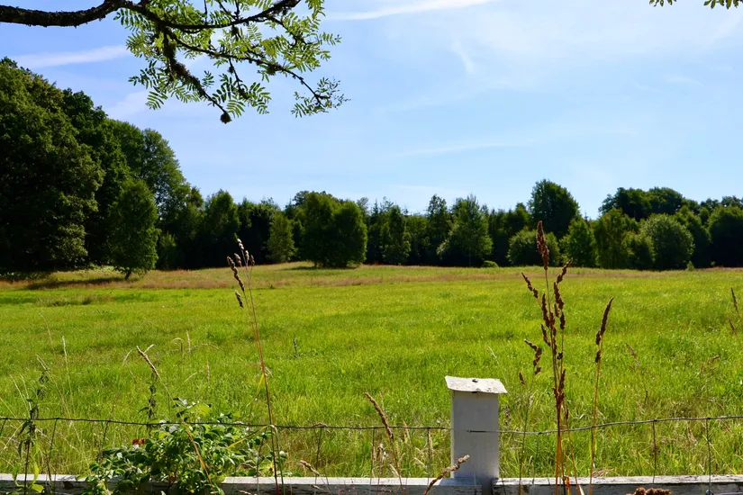Gård/Skog, Stora Bjälkabygget 1358, Örkelljunga