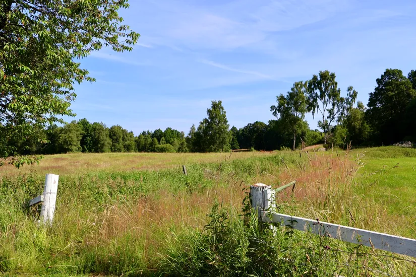 Gård/Skog, Stora Bjälkabygget 1358, Örkelljunga