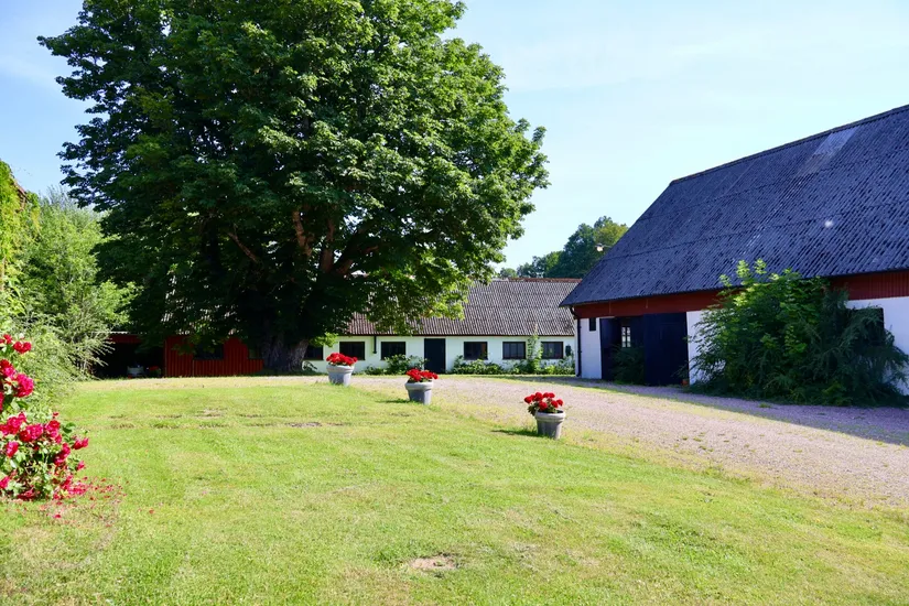 Gård/Skog, Stora Bjälkabygget 1358, Örkelljunga
