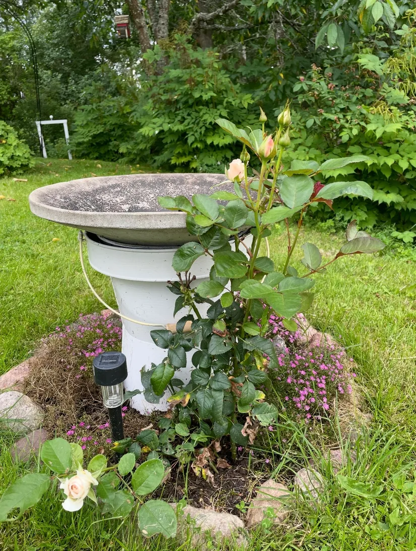 Fritidshus, Stockeryd Skogsbo 1, Eksjö